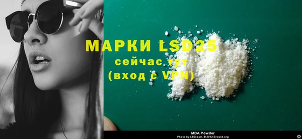 прущие грибы Коряжма