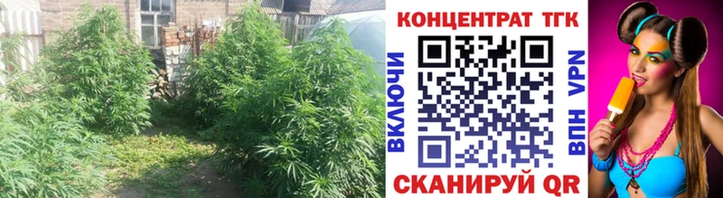 МЕГА ONION  наркошоп  Сокол  Дистиллят ТГК вейп с тгк 
