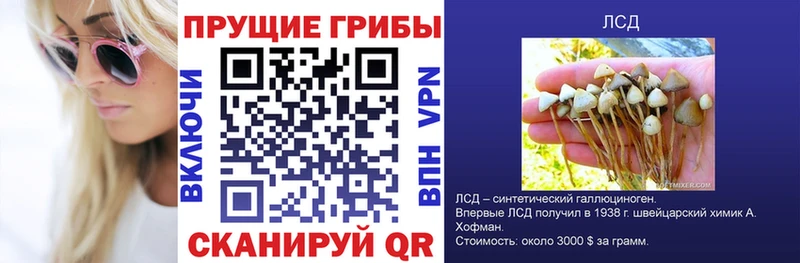 Галлюциногенные грибы мухоморы Сокол