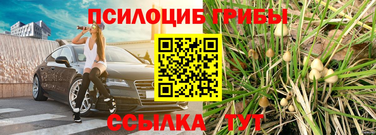 Сокол  Галлюциногенные грибы мухоморы  Вход с VPN 
